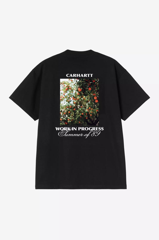 CARHARTT WIP - WARM VIEWS T-SHIRT