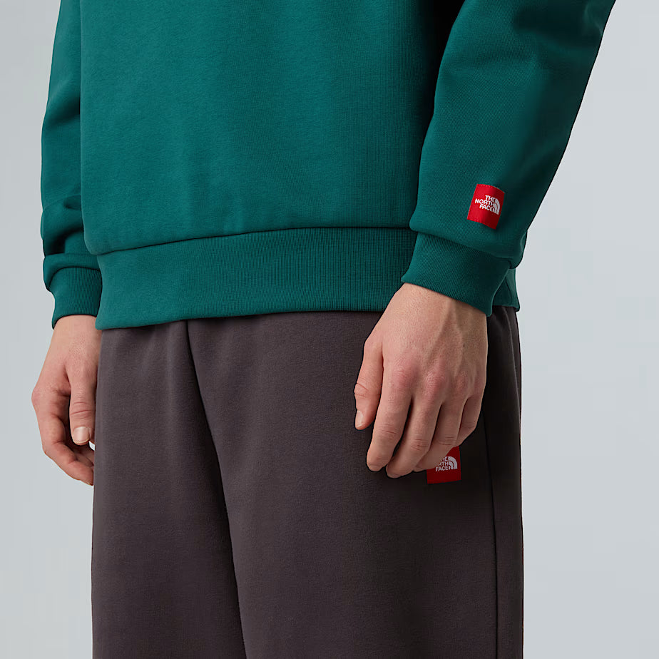 THE NORTH FACE - REDBOX HOODIE