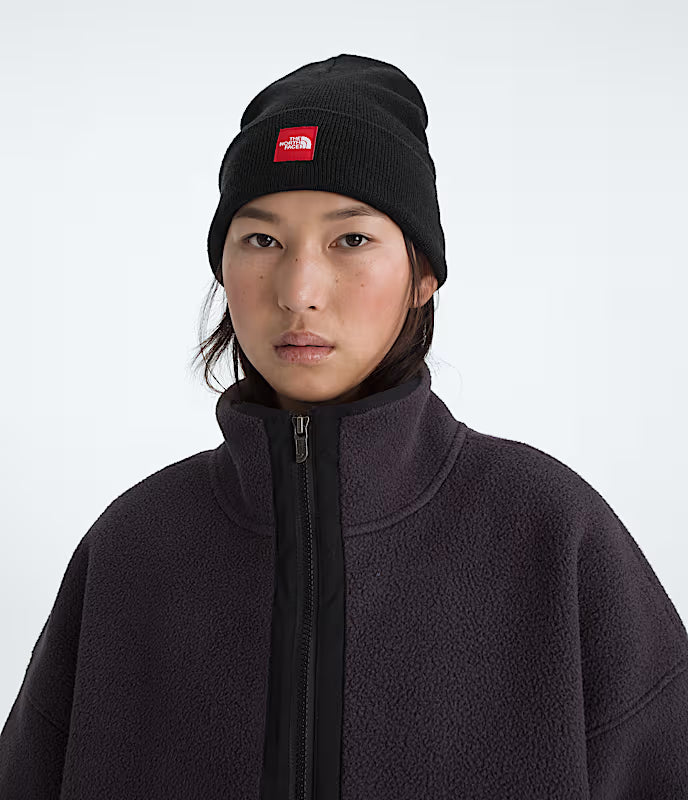 THE NORTH FACE - RED BOX BEANIE
