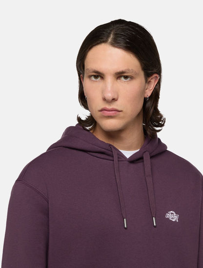 DICKIES - SUMMERDALE HOODIE