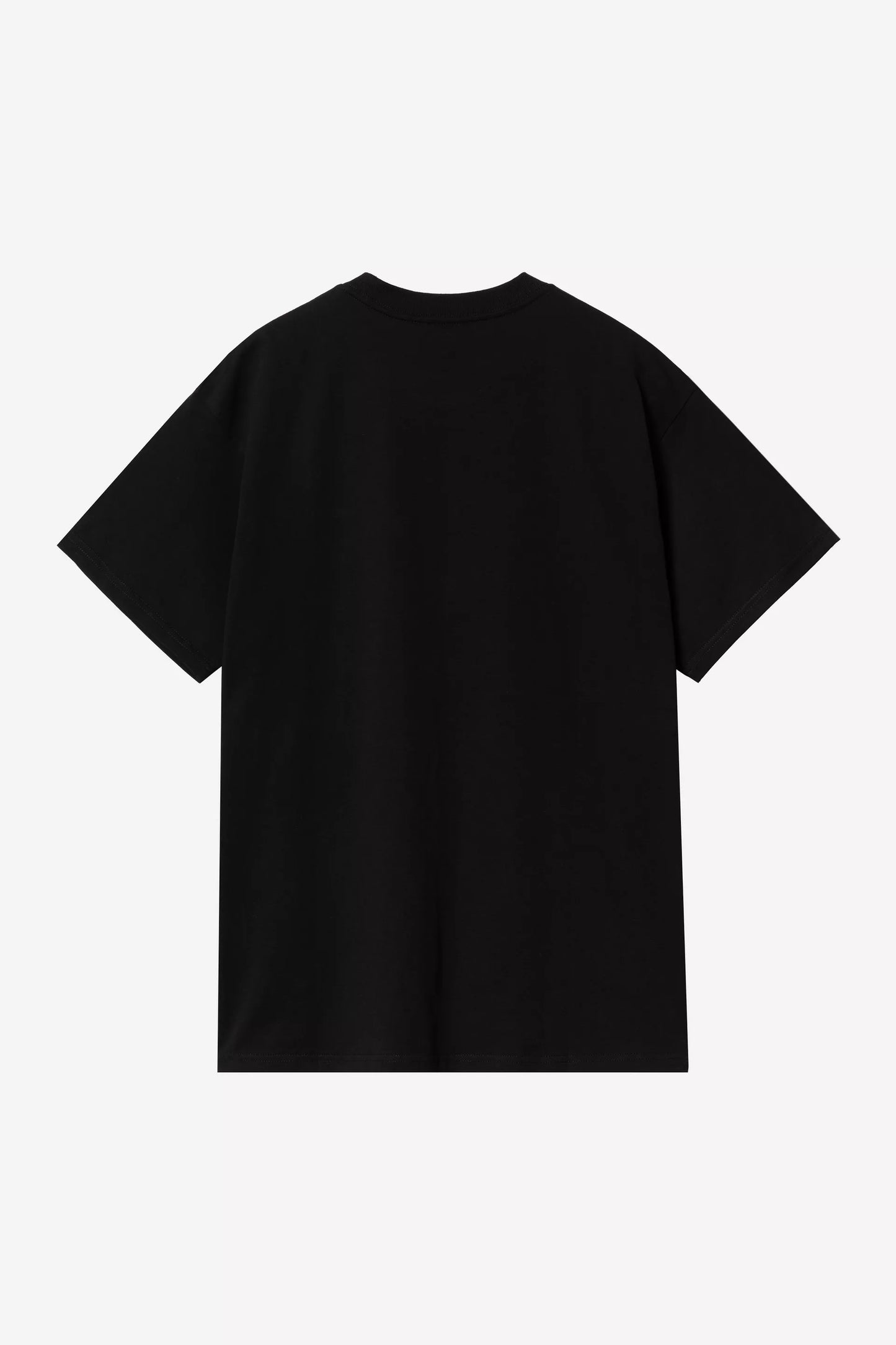 CARHARTT WIP - SCRIPT EMBROIDERY T-SHIRT