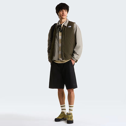 THE NORTH FACE - BAGGY BETA SHORTS