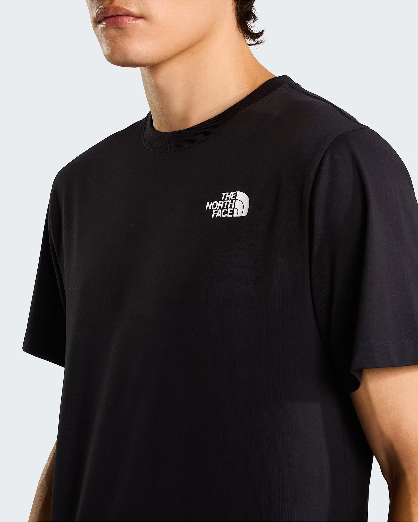 THE NORTH FACE - GRANITIC ROCK BOX NSE REGULAR TEE